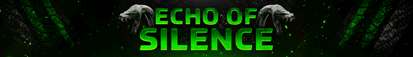 Echo of Silence